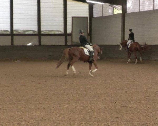 Reitturnier Heilbronn 2020