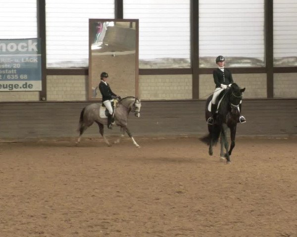 Reitturnier Heilbronn 2020