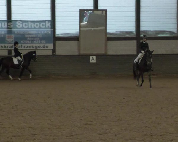 Reitturnier Heilbronn 2020