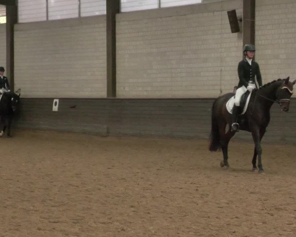 Reitturnier Heilbronn 2020