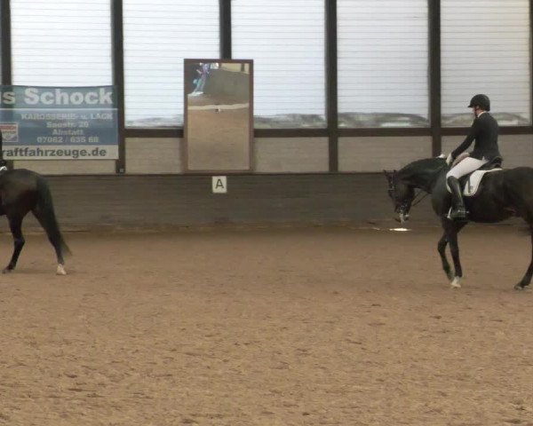 Reitturnier Heilbronn 2020