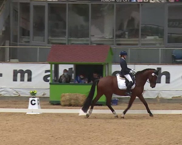 Reitturnier Kreuth 2020