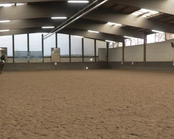 Reitturnier Heilbronn 2020