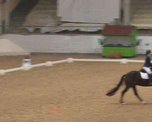 Reitturnier Kreuth 2020