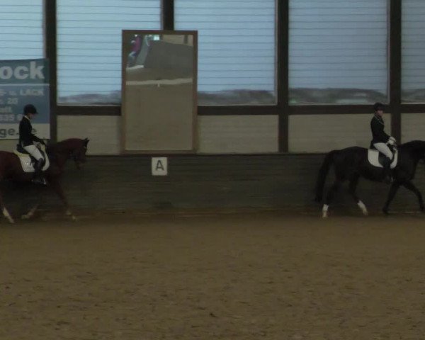 Reitturnier Heilbronn 2020