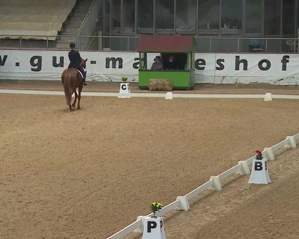 Reitturnier Kreuth 2020