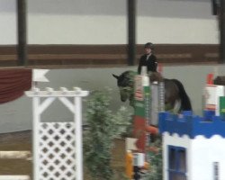 Springpferd At my Side (Holsteiner, 2009, von Aragorn W)