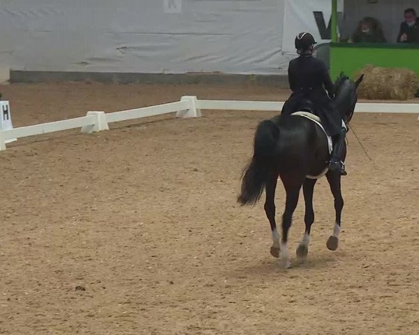 Reitturnier Kreuth 2020