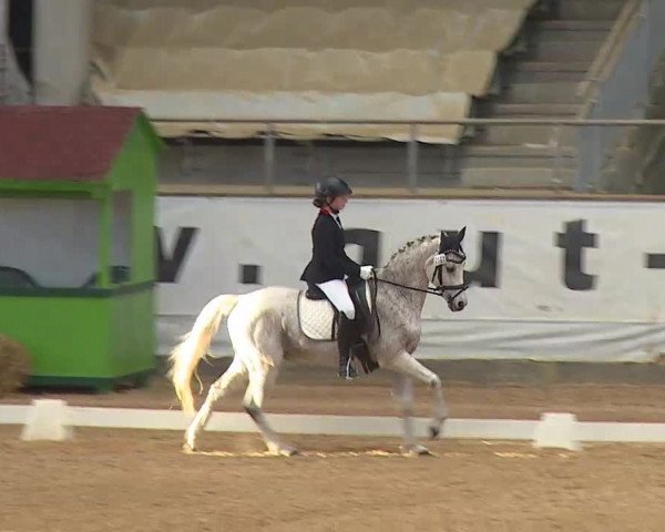 Reitturnier Kreuth 2020