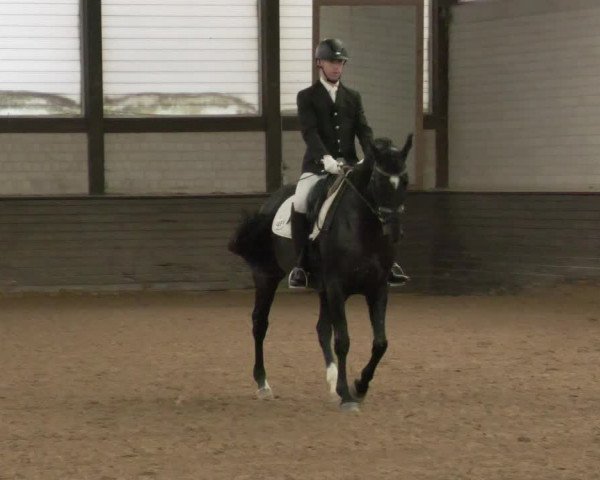 Reitturnier Heilbronn 2020