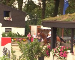 jumper Carrington 19 (Holsteiner, 2009, from Casquetto)