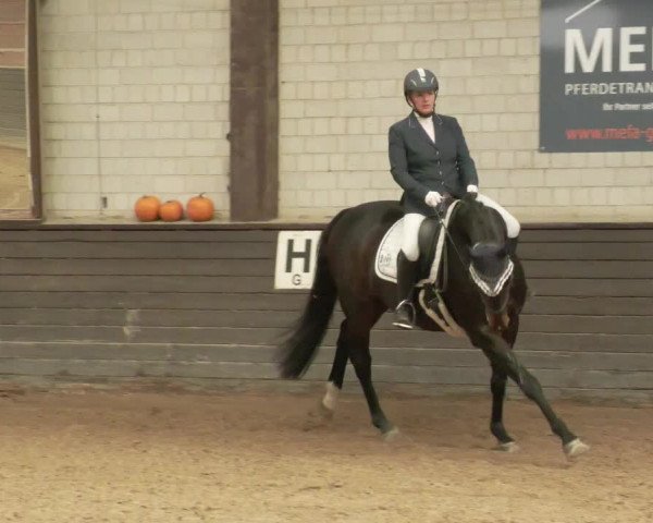 Reitturnier Heilbronn 2020