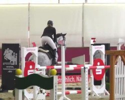 jumper Corazone de La Esperanza (Westphalian, 2006, from Coupe de Coeur 2)