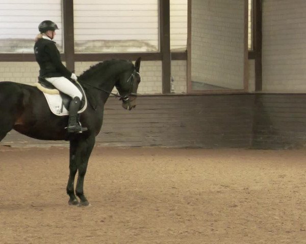 Reitturnier Heilbronn 2020