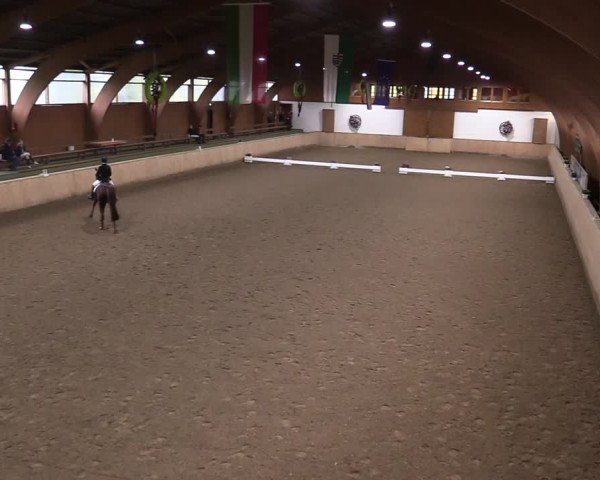 Reitturnier Hövelhof 2020