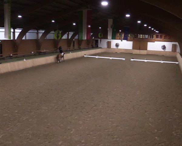 Reitturnier Hövelhof 2020