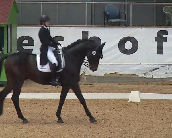 Reitturnier Kreuth 2020