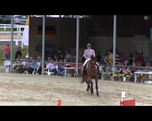 dressage horse Rosentraum 8 (Westphalian, 2004, from Rosencharmeur)