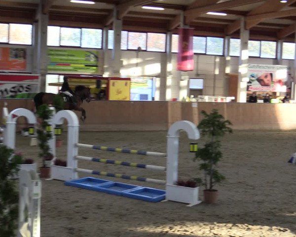 Reitturnier Prussendorf 2020