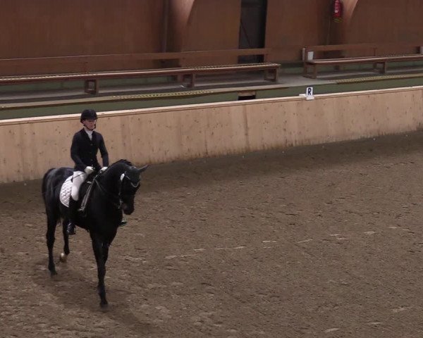Reitturnier Hövelhof 2020