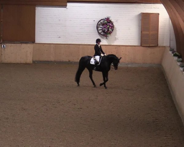 Reitturnier Hövelhof 2020