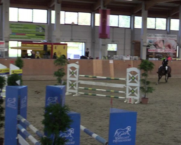Reitturnier Prussendorf 2020