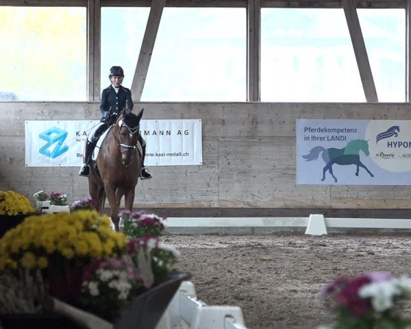 Reitturnier Urtenen-Schönbühl 2020