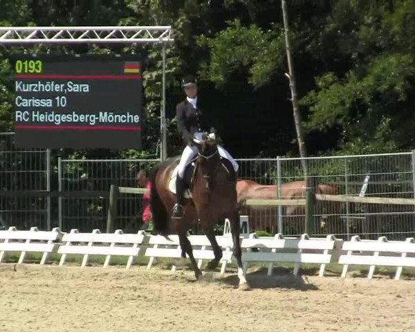 dressage horse Carissa 10 (KWPN (Royal Dutch Sporthorse), 2007, from Tuschinski)