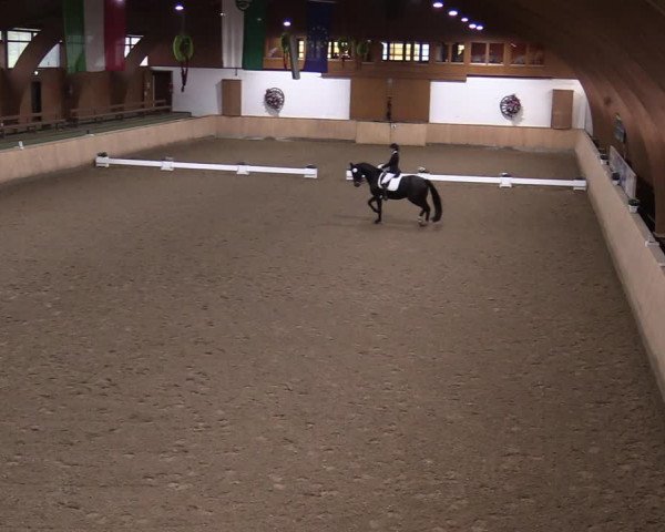 Reitturnier Hövelhof 2020