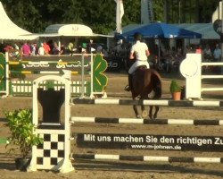Springpferd Bernardo van de Helle (Belgisches Warmblut, 2001, von Darco)