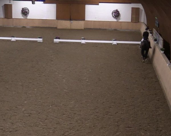 Reitturnier Hövelhof 2020