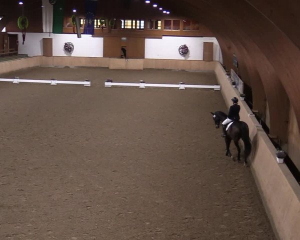 Reitturnier Hövelhof 2020