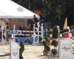 Springpferd Chipson (Irish Sport Horse, 2005)