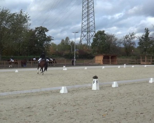 Reitturnier Troisdorf - Haus Rott 2020
