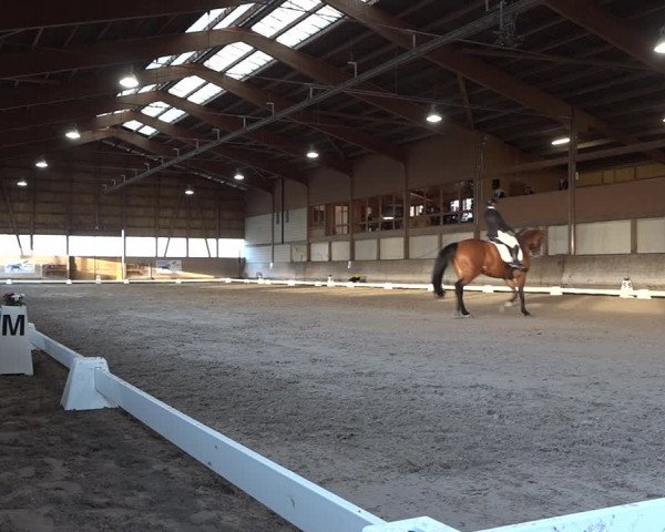 Reitturnier Urtenen-Schönbühl 2020