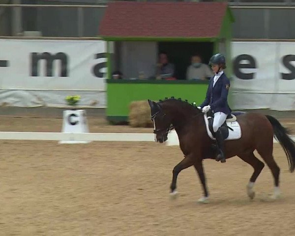 Reitturnier Kreuth 2020