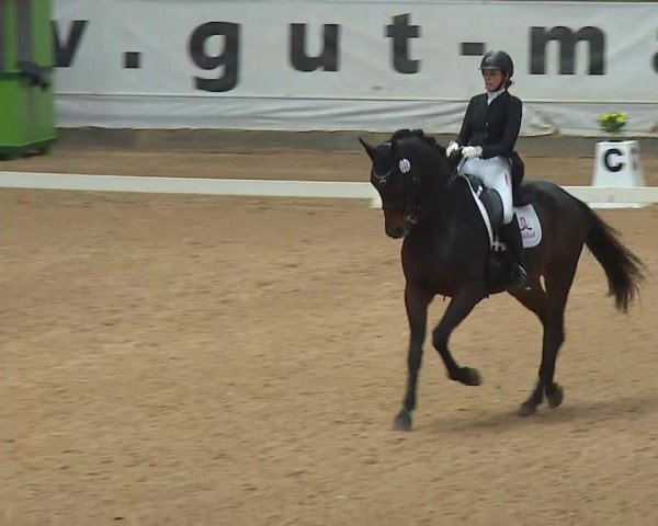 Reitturnier Kreuth 2020