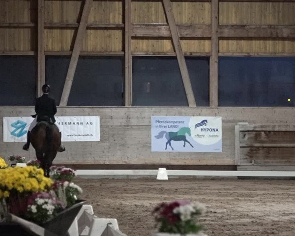 Reitturnier Urtenen-Schönbühl 2020