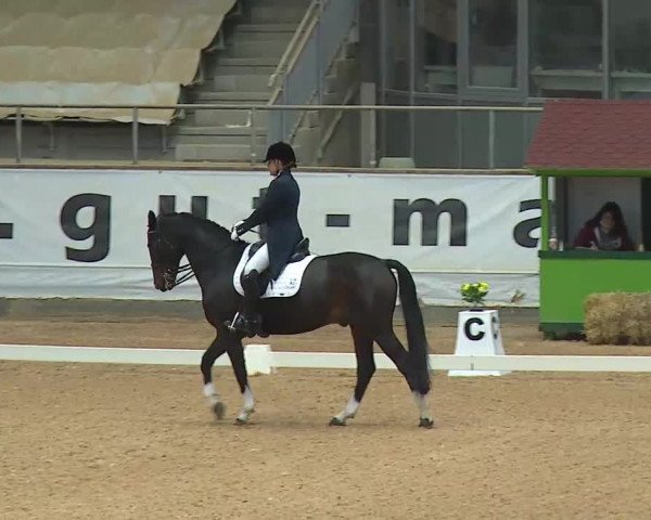Reitturnier Kreuth 2020