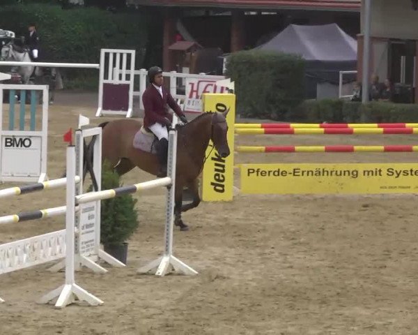 Cheval de saut Loughnatousa Rafa (Irish Sport Horse, 2000)