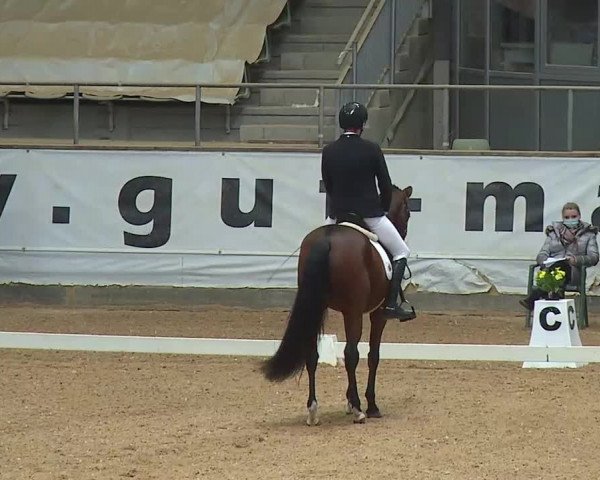 Reitturnier Kreuth 2020