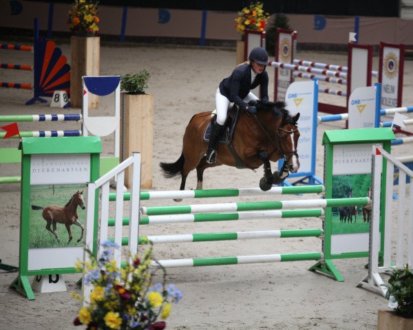broodmare Iko Ludine (KWPN (Royal Dutch Sporthorse), 2013, from Berlin)