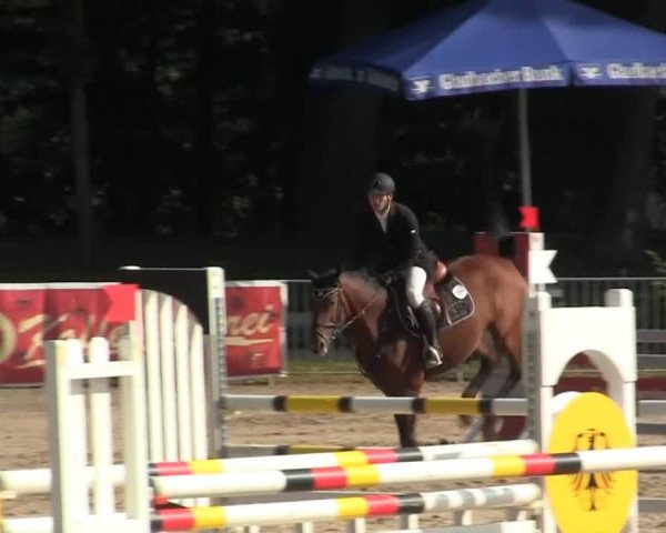 jumper Nabila 5 (Rhinelander, 2007, from No Limit)