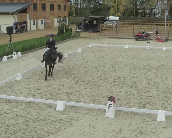 Reitturnier Troisdorf - Haus Rott 2020