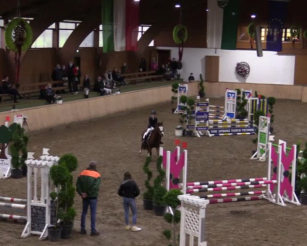 Reitturnier Hövelhof 2020