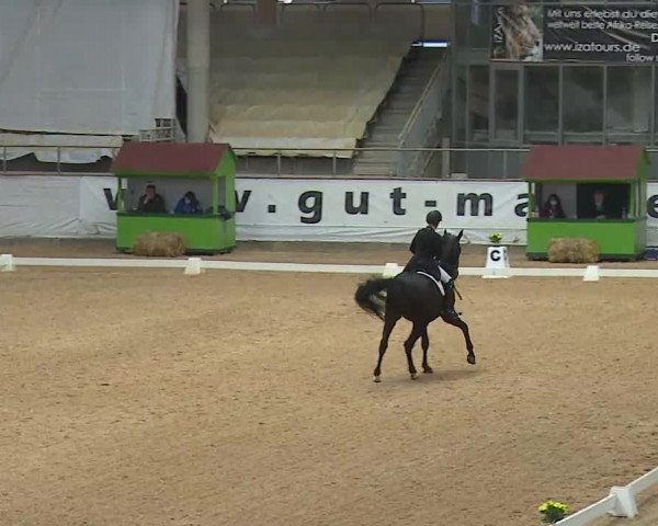 Reitturnier Kreuth 2020