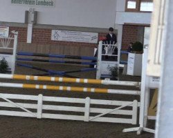 broodmare Victoria MB (Westphalian, 2009, from Vulkano FRH)