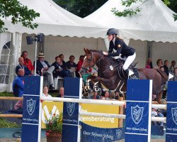 Springpferd For Kids Lady (Deutsches Reitpony, 2010, von For Kids Only)