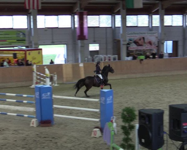 Reitturnier Prussendorf 2020