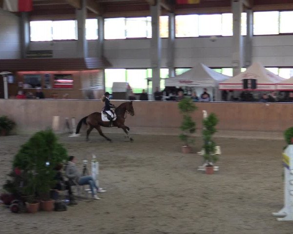 Reitturnier Prussendorf 2020